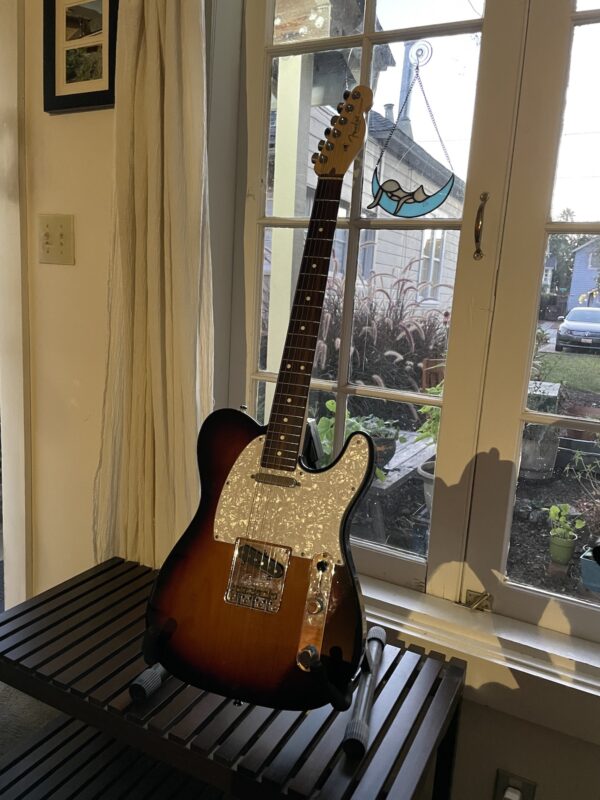 Fender American Professional Telecaster - Image 13