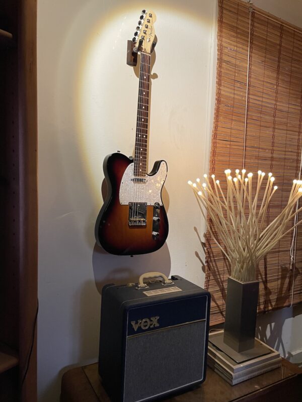 Fender American Professional Telecaster - Image 10