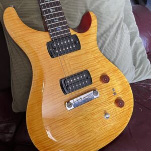 PRS SE Paul's Guitar