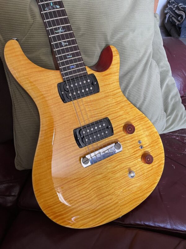 PRS SE Paul's Guitar
