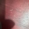 Gibson SG Special 2007 - Worn Cherry - Image 7
